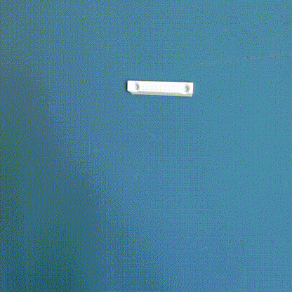 Wall shelf “Oyster fungus”