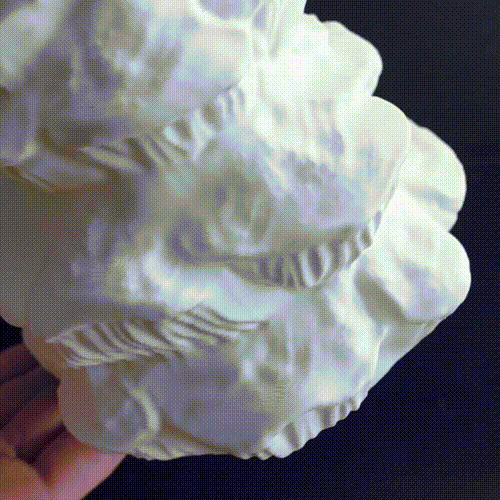 Vase “abietinum fungus”