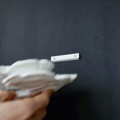 Wall shelf “Ostrea Fungus”