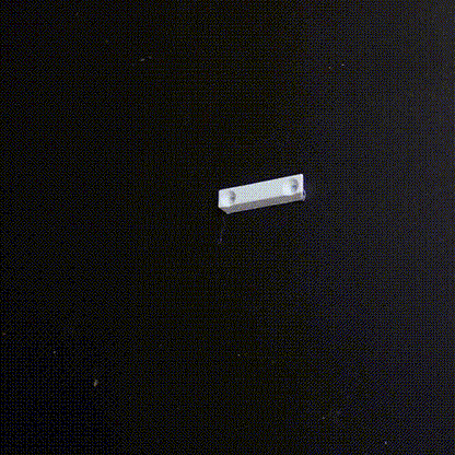Wall shelf “Edodes Fungus”