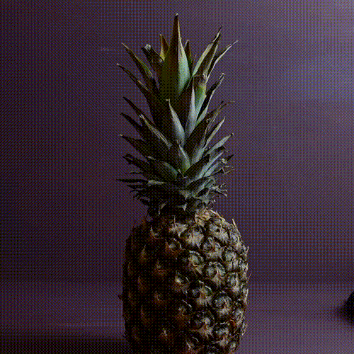 "The Swinger" Pineapple Organizer