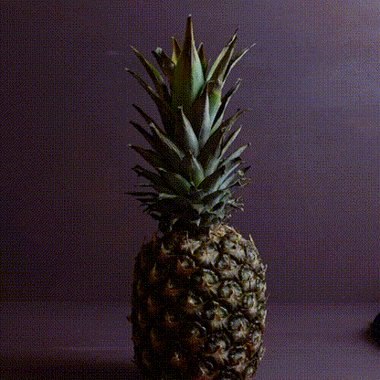 "The Swinger" Pineapple Organizer