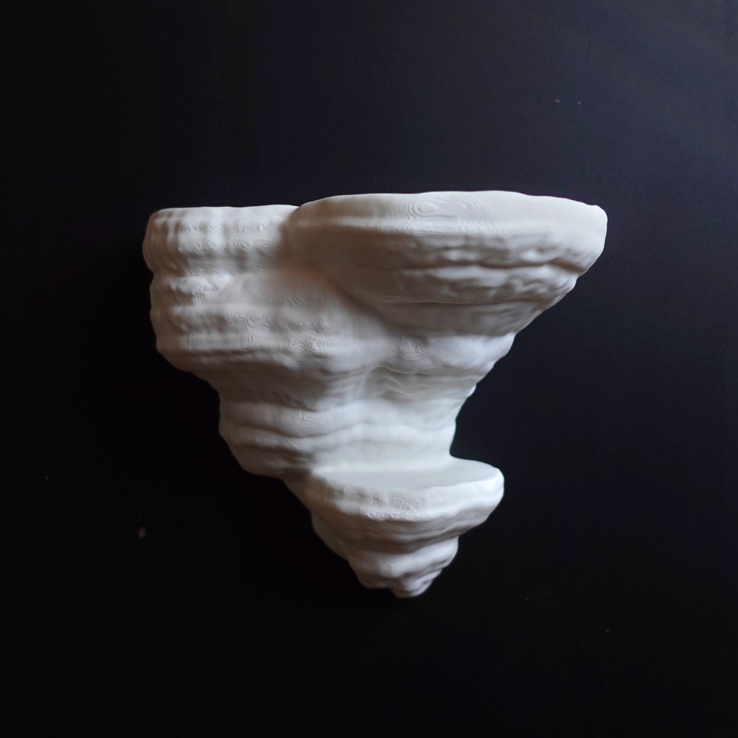 Wall shelf “Fomentarius Fungus”