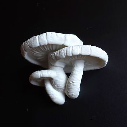Wall shelf “Edodes Fungus”