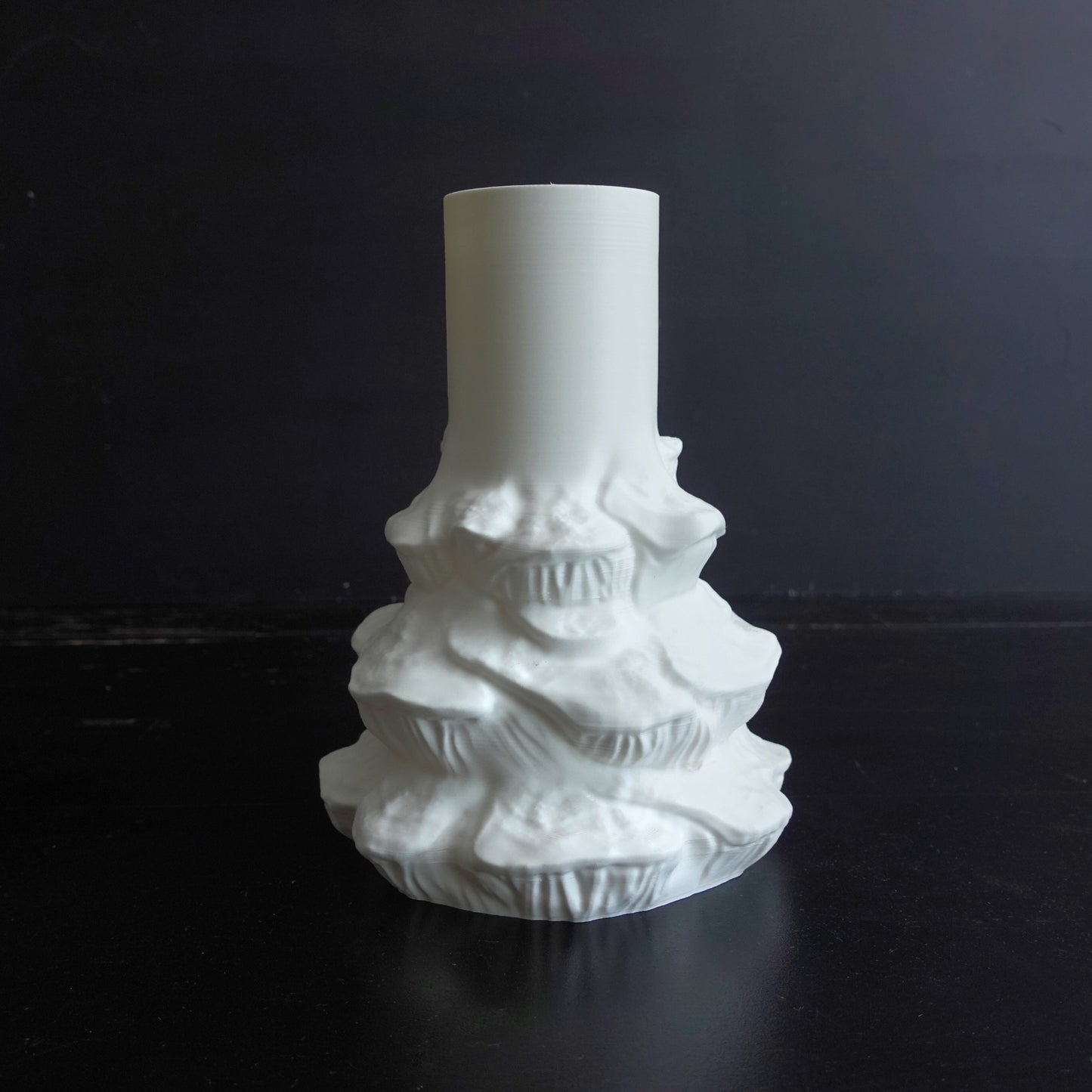 Vase “abietinum fungus”
