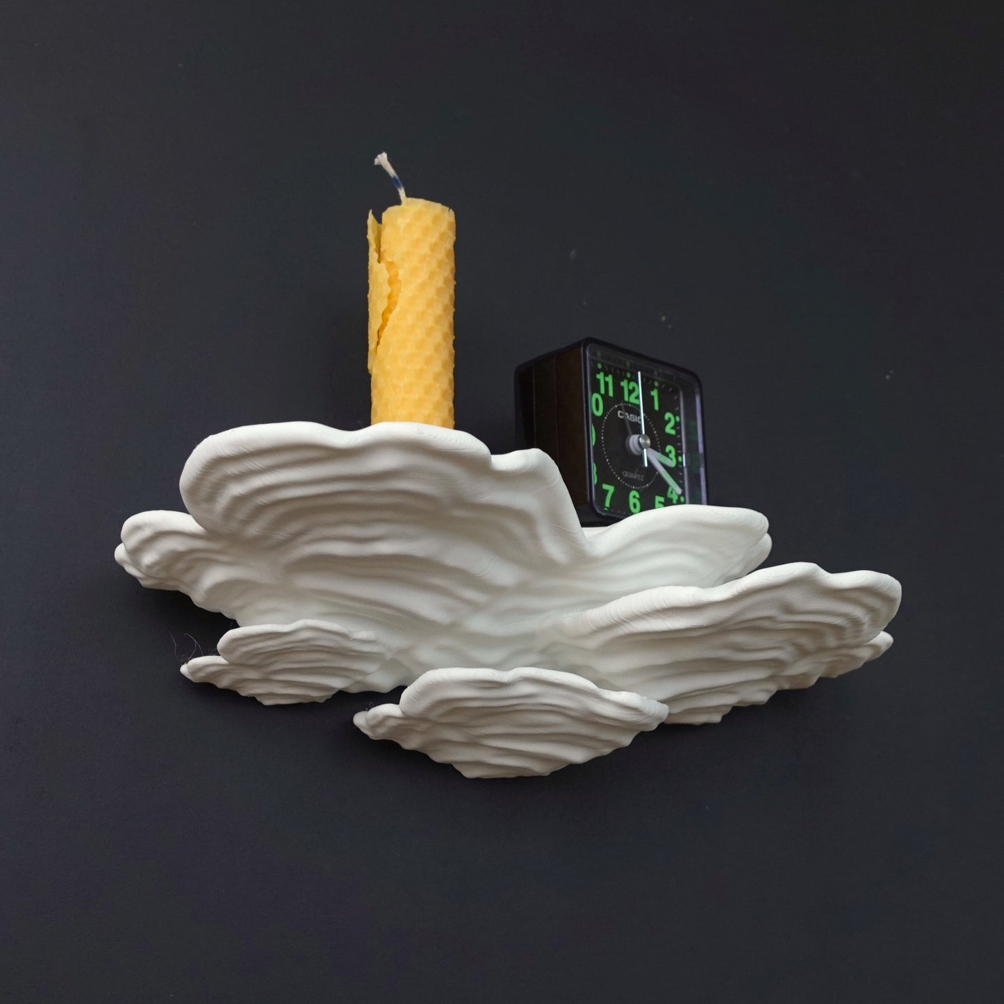 Wall shelf “Ostrea Fungus”