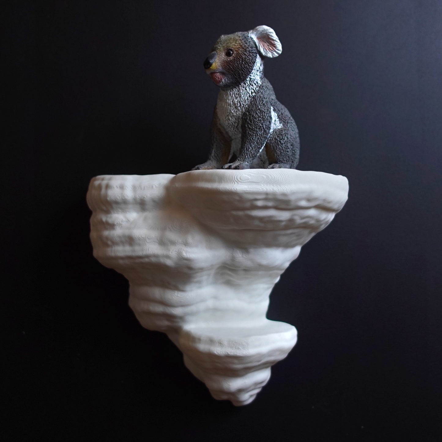 Wall shelf “Fomentarius Fungus”