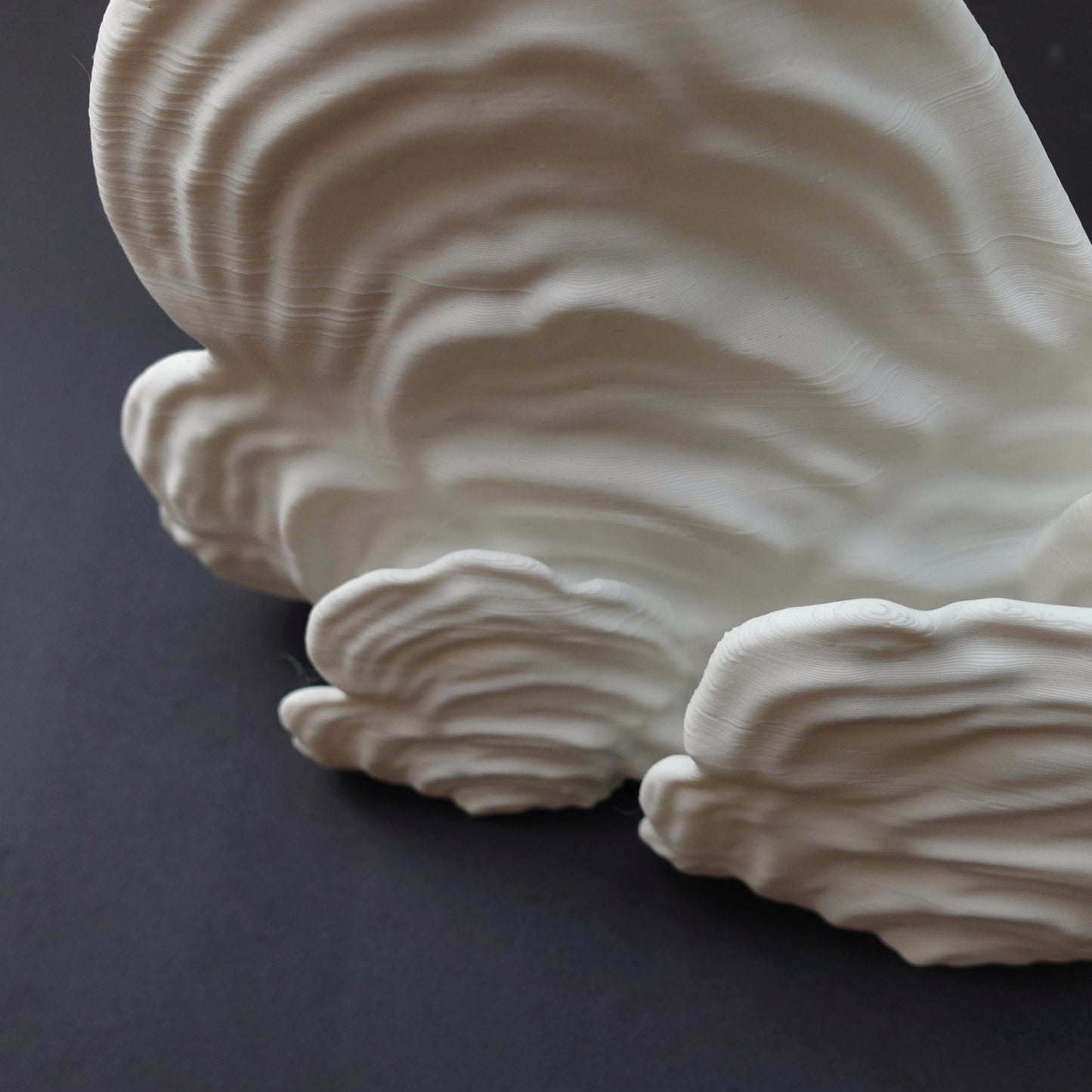 Wall shelf “Ostrea Fungus”